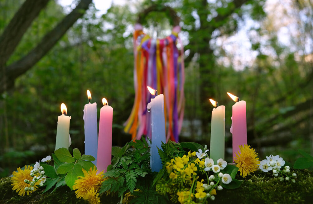 Candles in a forest.