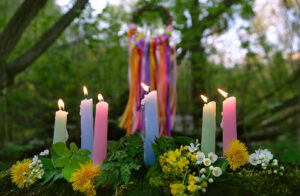 Candles in a forest.
